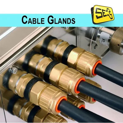 M14X1.5 (((4-8) connettore per cavi in ottone placcato al nichel IP68